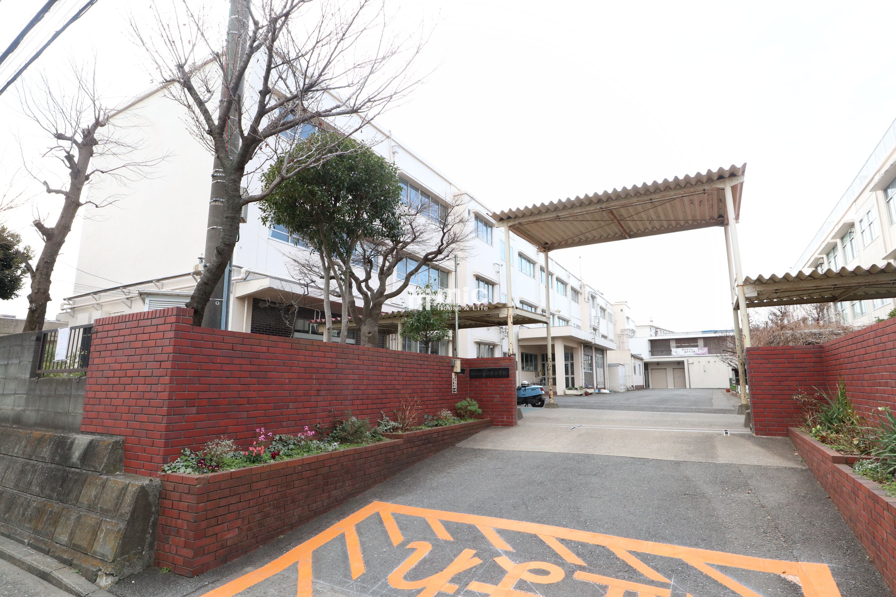 横浜市立藤の木小学校